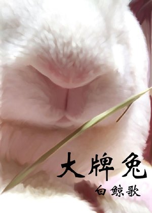 big rabbit