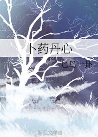 Divination Danxin