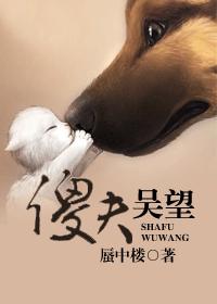Fool Wu Wang