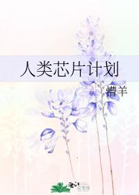 Human on a Chip Project