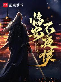 Lin'an Never Night