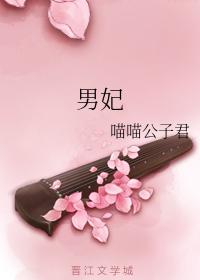 male concubine